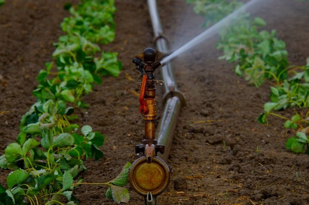 Private irrigation project network
